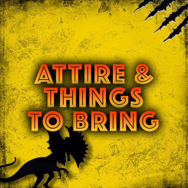 Attire & Things to Bring