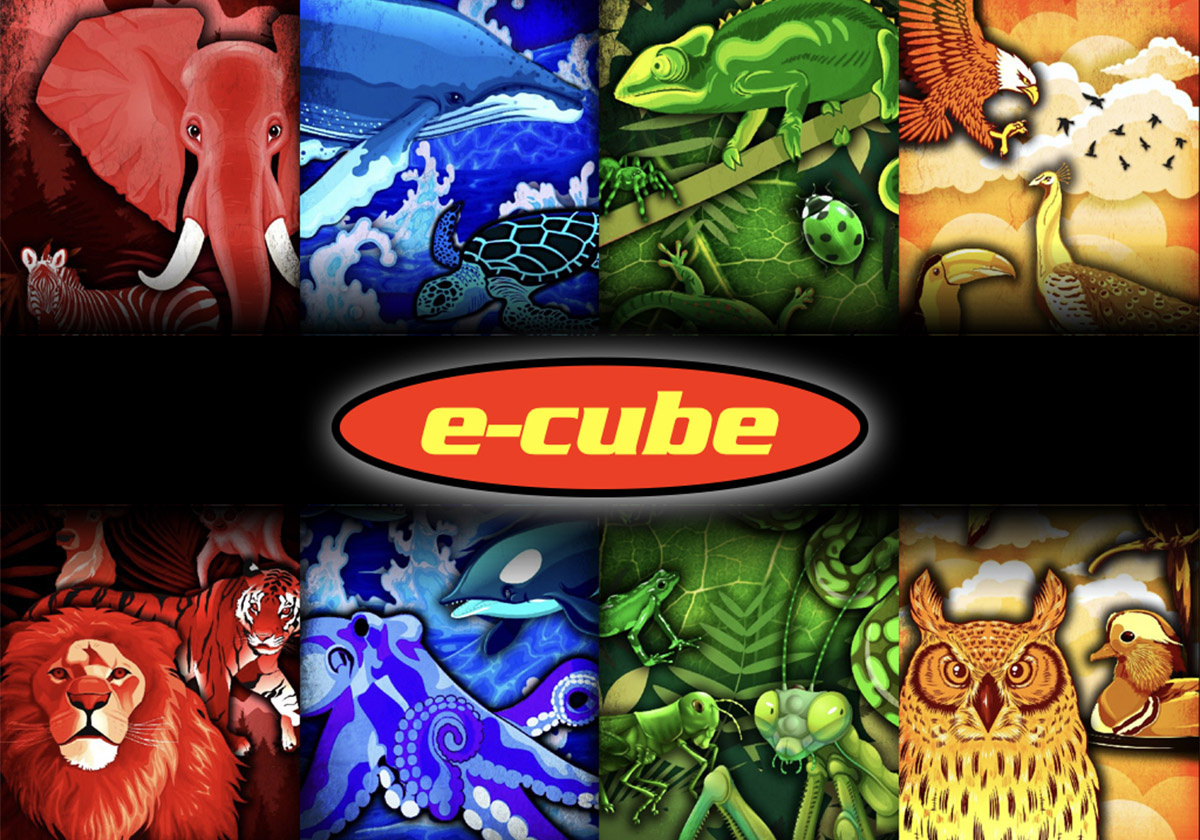eCube